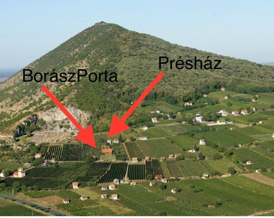 BorászPorta - Présház Hotel Villány Exterior foto